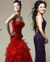 娱乐圈知性路线,优雅与智慧的完美融合