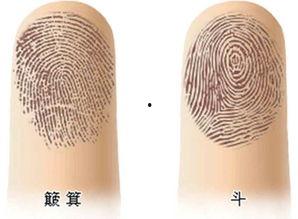 指纹斗图片,揭秘生物识别技术的奥秘
