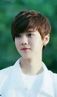 鹿晗身世背景资料,从平凡家庭走出的明星之路